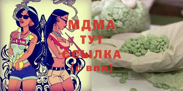 прущие грибы Дмитровск