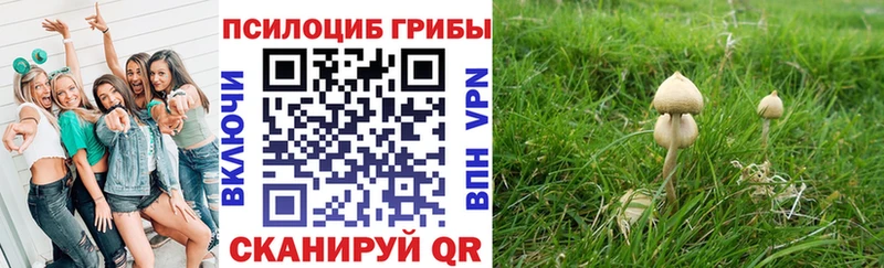 Псилоцибиновые грибы Cubensis  Купить где  Артёмовский 